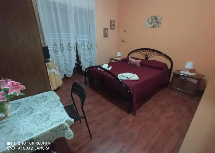 Movida Inn B&B